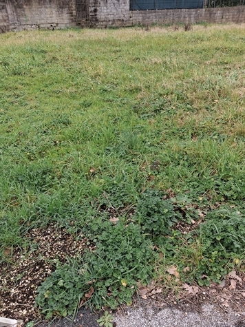 Terreno edificabile-Rif.